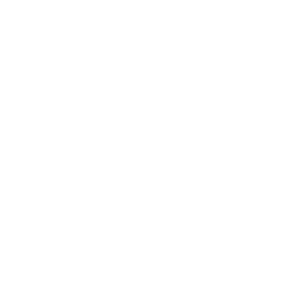 DJ-Allianz Berufsverband Mitglieder Badge