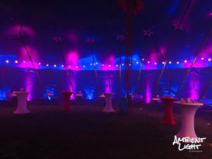 Zirkus-Piccolo-Blau-Pink mit ambienter Beleuchtung